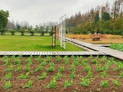 -前小桔亲子创意农场·草莓采摘·露营烧烤