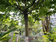 -广州神农草堂中医药博物馆