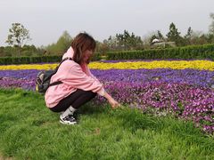 -金卉庄园