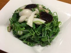 凉拌龙须菜-鼎泰丰(南西店)