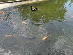 -海南热带野生动植物园