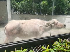 -荆州中山公园动物园