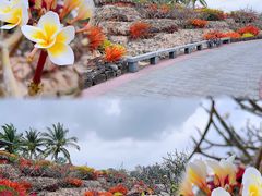 -海南鉴湖蓝湾高尔夫球会