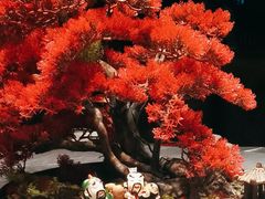 -红辣椒·川菜·火锅(张杨路店)