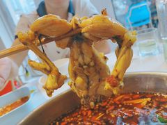 -蛙两只美蛙鱼头火锅(恒茂店)
