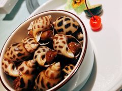 醉香螺-申粤轩酒楼·三十年粤菜经典(丁香花园店)