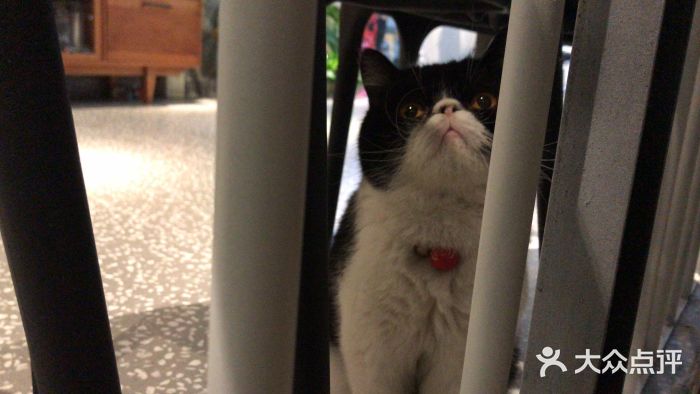 针武堂刺青(正弘城店)图片