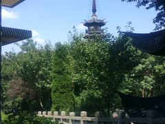 -上海佘山国家森林公园西佘山园