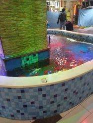 -堂堂乐儿童乐园(阳光100欧特福店)