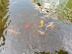 -苏州市姑苏区少年宫(沧浪分部)