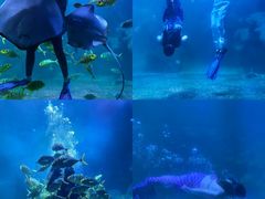 -左海海底世界