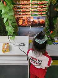 -红尾狐儿童卡丁车俱乐部(居然之家店)