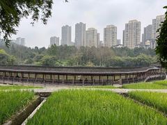 -龙头寺公园