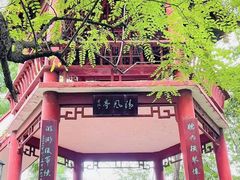 -房湖公园