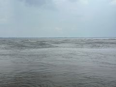 -观潮胜地公园