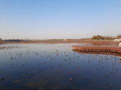 -天津东丽湖风景区