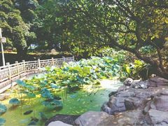 -晓港公园