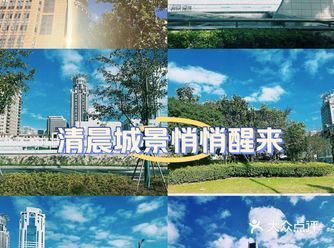 在晨曦微露的上海街头，   行人如织，忙碌与梦交织