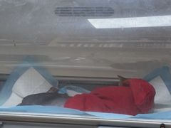 -中农大我爱我爱24h动物医院·中医针灸·猫专科·骨科医疗中心(双井店)