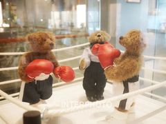 -济州岛泰迪熊博物馆