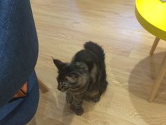 -Pets First伊珊娜洗护·精致美容·家庭式寄养(新会路店)