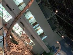 -自贡恐龙博物馆