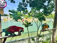 -水上乐园·欢乐世界