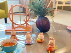 -妈咪爱月子中心·母婴护理