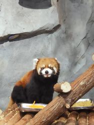 -Zoolung Zoolung动物主题公园(海信广场店)