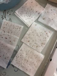 -蕾特恩祛痘•皮肤管理