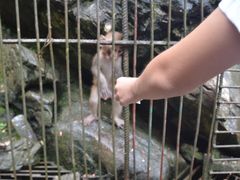 -阿依河景区