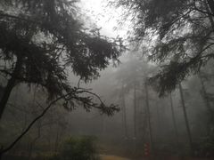 -綦江古剑山