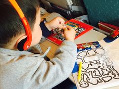 -新加坡航空公司(ION)