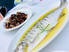 清蒸白鱼（半片）-永丰源大酒店(人民中路店)