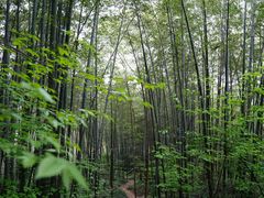 -南山风景名胜区