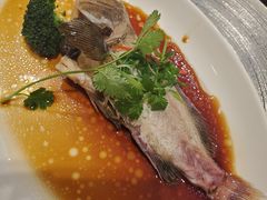 清蒸野生小石斑-厦门艾美酒店·乐美中餐厅