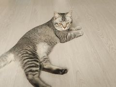 -猫岛主趣味餐厅(鼓浪屿店)