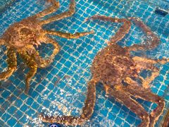 -新金盛·海鲜酒楼(盐田店)