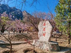 -北京凤凰岭