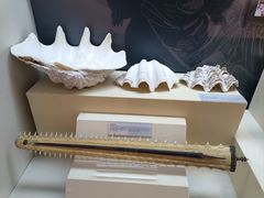 -上海中国航海博物馆