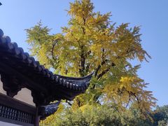 -常熟方塔园
