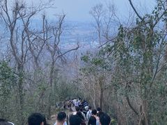 -紫金山山顶公园