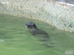 20100806412-绿色时代大酒店