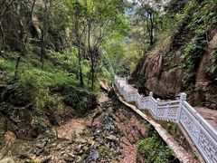 -南山植物园