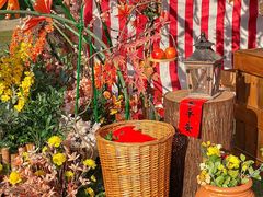 -海南清水湾莱佛士酒店