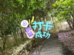-陈家山荷花公园