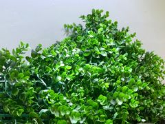 景观位-梁子刨冰王(鞍山西道店)