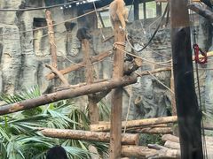 -锦江之星(南京新街口店)