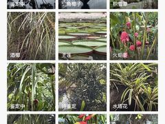 -中国科学院西双版纳热带植物园