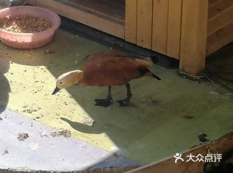 '福州植物园' '福州国家森林公园'  一大早来看到